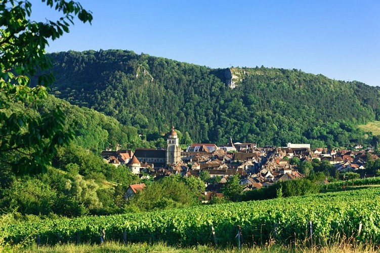 Poligny, Capitale du Comté