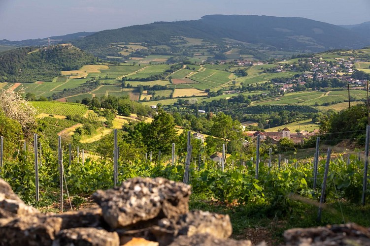 berze-la-ville-paysage-etienne ramousse-macon-sud-bourgogne (59)