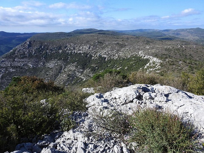 Peyre Martine depuis la Forêt Domaniale de la Séranne