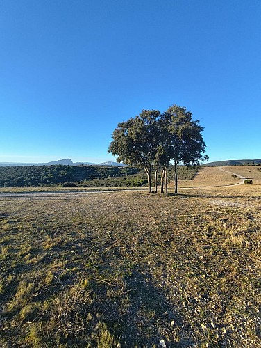 Sur le chemin du Grand Devès depuis GUZARGUES