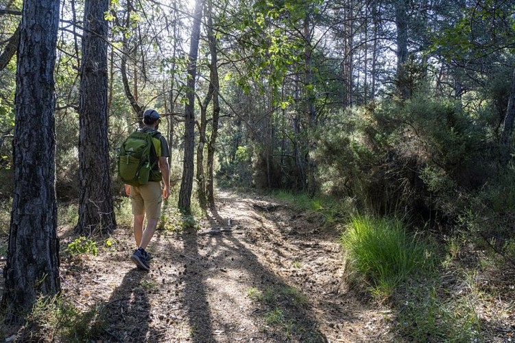 Sentier de Piébroux