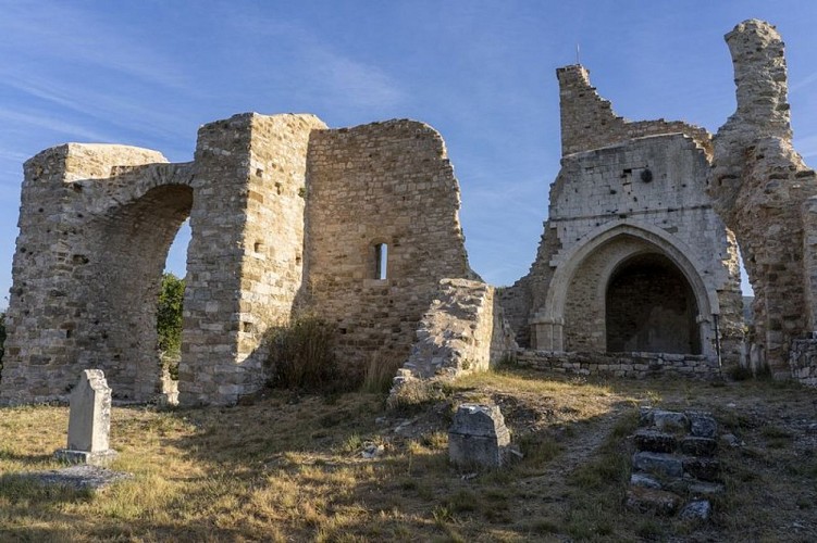 Ruines de Vière