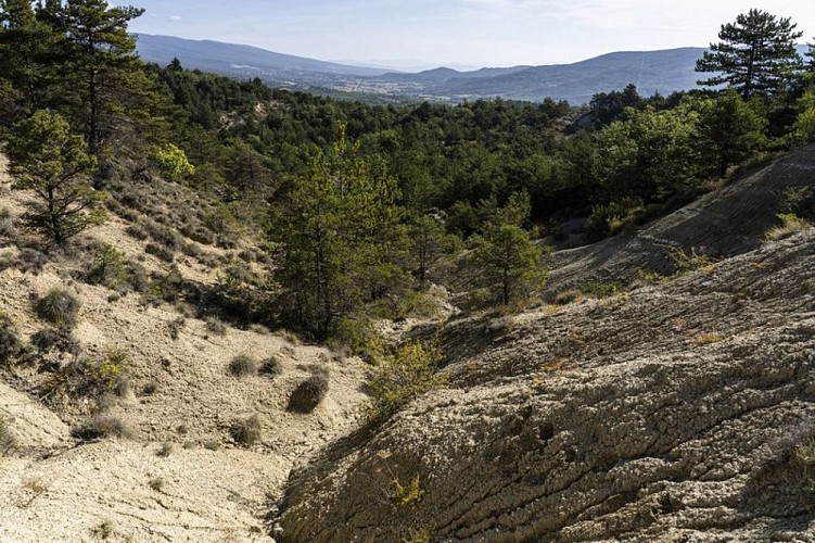 Ravin du Pré Fourcat
