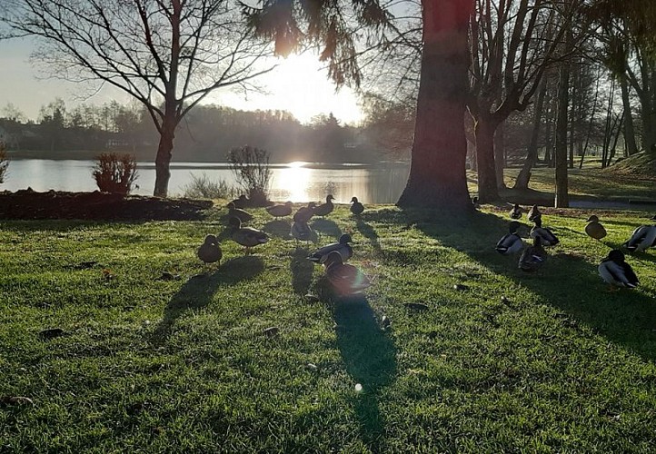 Des paysages changeants