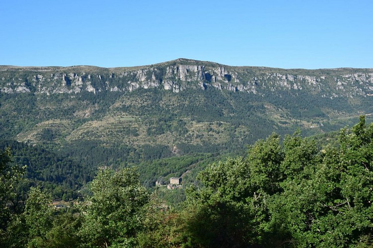 Vue Montvaillant et rochers du Rochefort