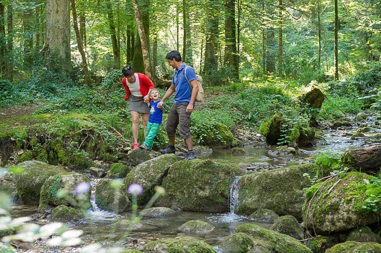 Balade - La sarsouille - Oyonnax