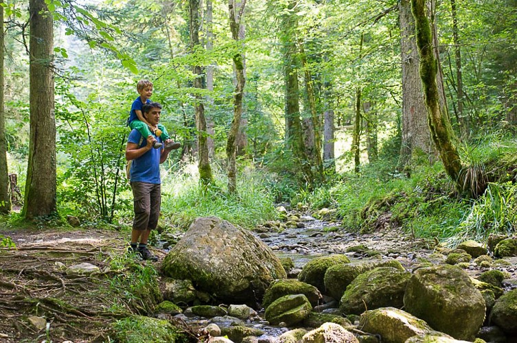 Sentier de la Sarsouille