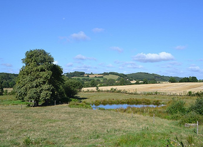 Etang de la Baire