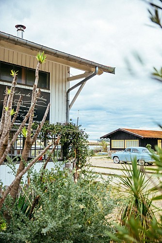 Plages et village - Cap Ferret
