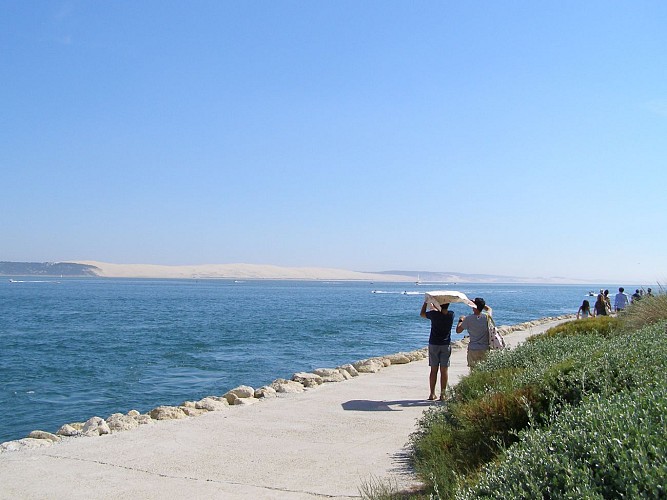 Plages et village - Cap Ferret