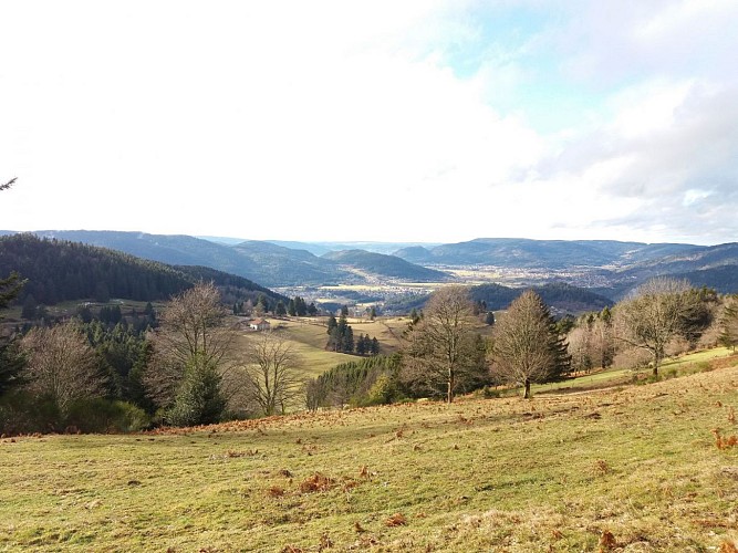 vue depuis Les Plateaux, Gerbamont