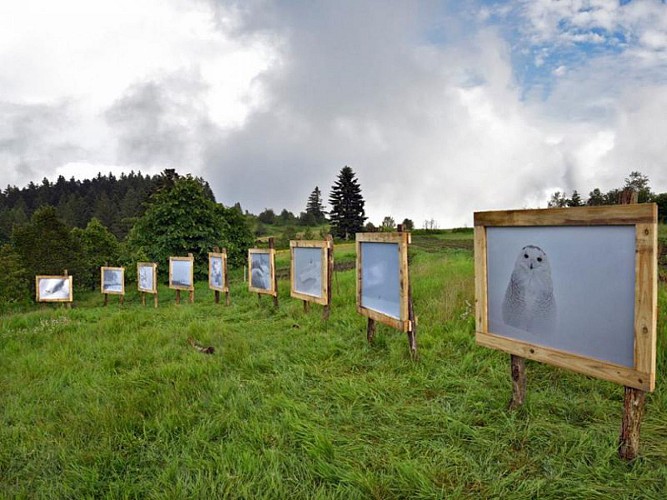 Les sentiers de la photo