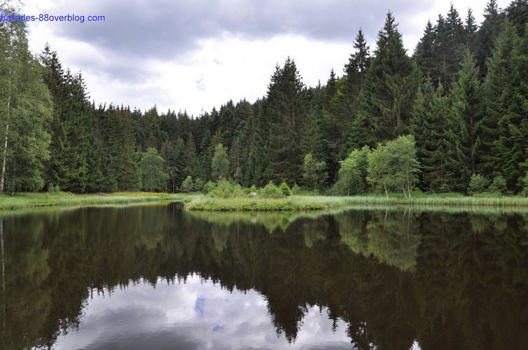étang au haut-du-tôt