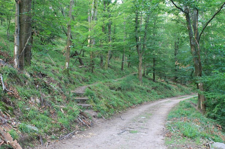 Rundreise Von Châtenois aus auf den Hahnenberg