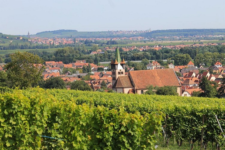 Rundreise Von Châtenois aus auf den Hahnenberg