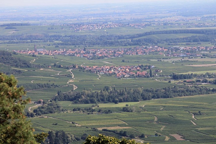 Dieffenthal et Dambach-la-Ville depuis le Hahnenberg