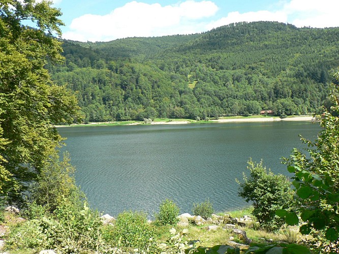 Radweg durch das Thurtal