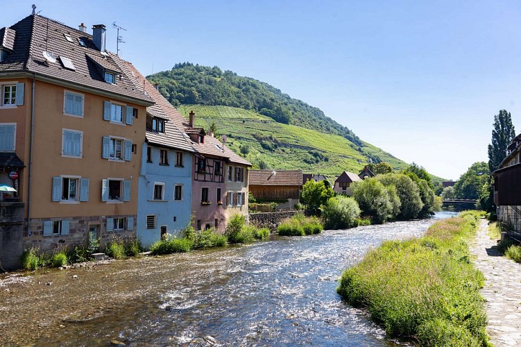 Véloroute de la vallée de la Thur