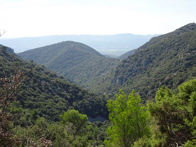 Rando Paysanne Luberon