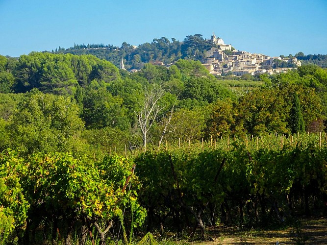 Rando Paysanne Luberon