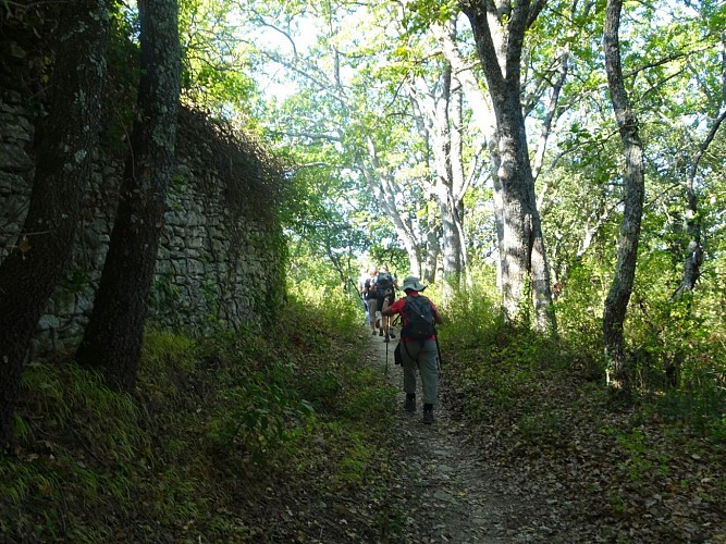 Rando Paysanne Luberon