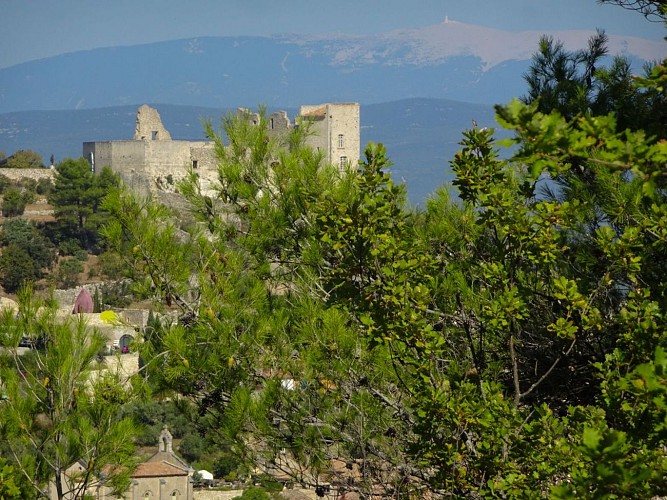 Rando Paysanne Luberon