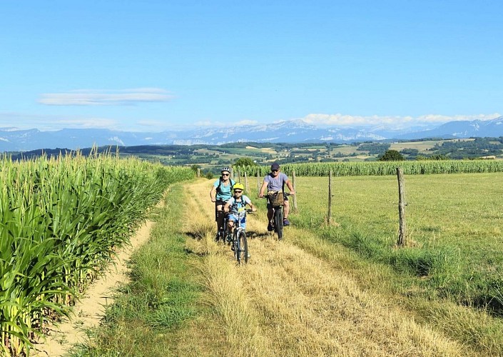 Circuit VTT - chemin des crêtes_Montagnieu