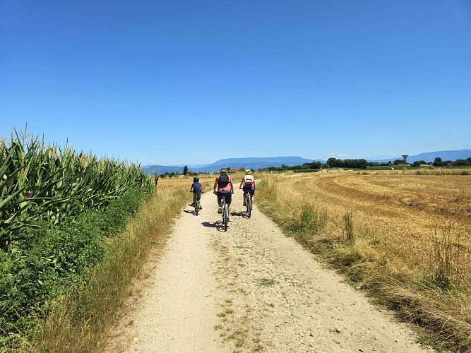 Mountain bike trail - Waterways_La Chapelle-de-la-Tour