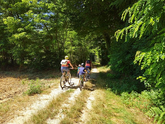 Mountain bike trail - Waterways_La Chapelle-de-la-Tour