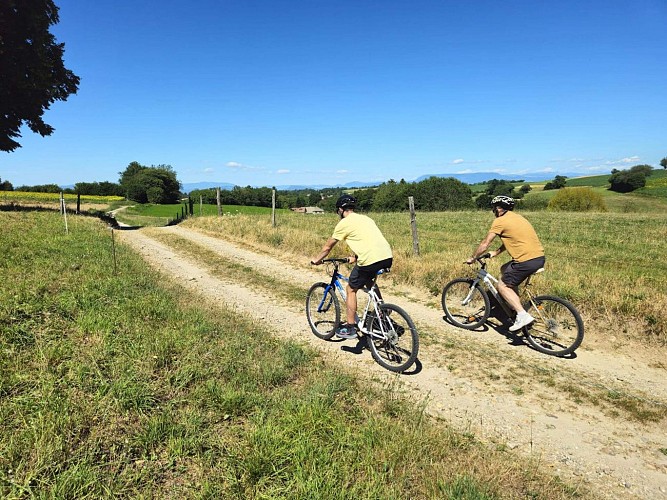 Circuit VTT - vers Bois vert