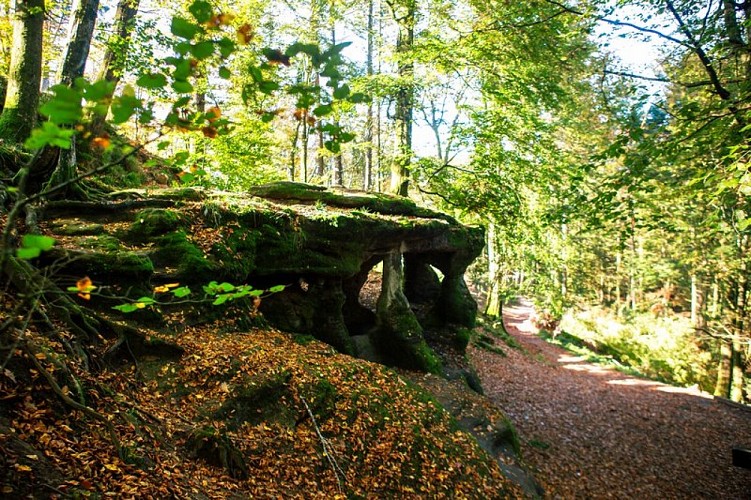 Grotte de l'Ermitage