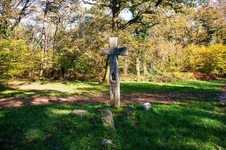 La croix Boyon dans la forêt de la Serre