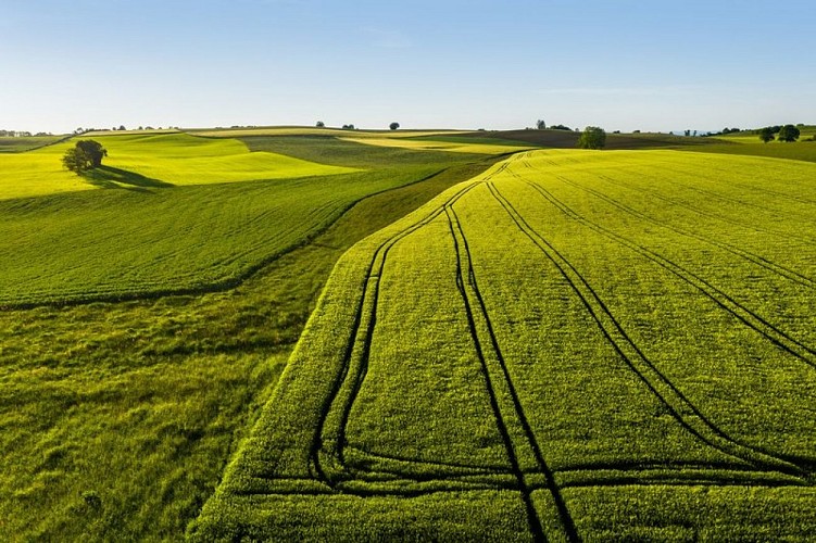 Paysage du Premier Plateau