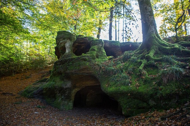 Grotte de l'Ermitage