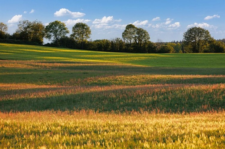 Paysage du Premier Plateau