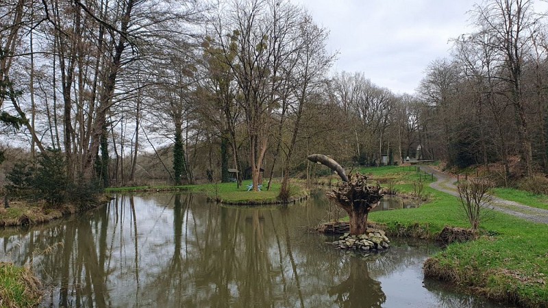 Entre les deux étangs