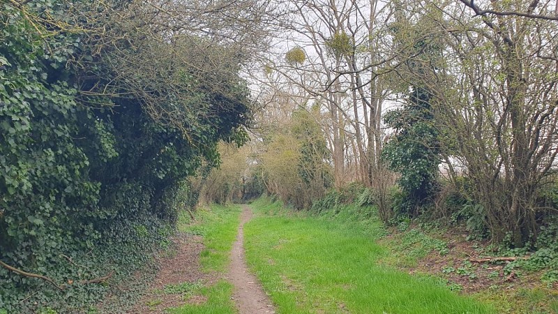Début d'un long chemin creux