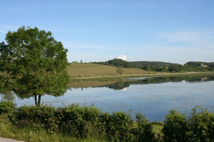Von einem Schatz zum anderen: Naturwanderung rund um die Teiche von Courtenay_Courtenay
