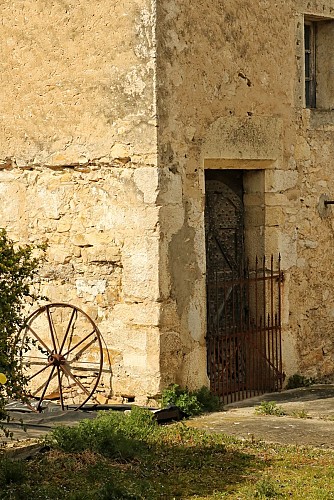 Von einem Schatz zum anderen: Naturwanderung rund um die Teiche von Courtenay_Courtenay