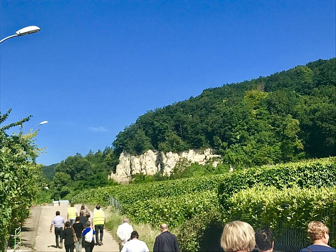 Si Venteuil m'était conté : La Boucle Verte