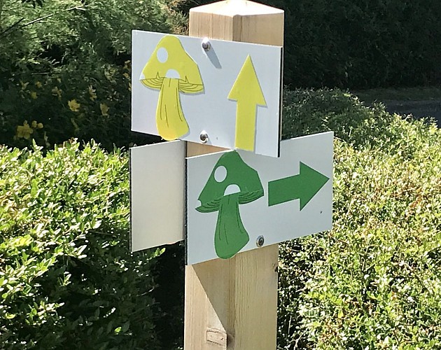 Si Venteuil m'était conté : La Boucle Verte