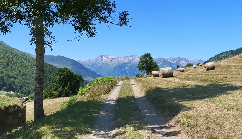 Au loin le massif de l'Ardiden