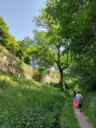 Le long des remparts