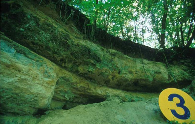 PR 122 Sentier géologique de Mailly-champagne