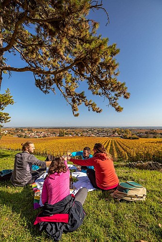 vire-pique-nique-vignoble-etienne-ramousse-tournus-sud-bourgogne-004