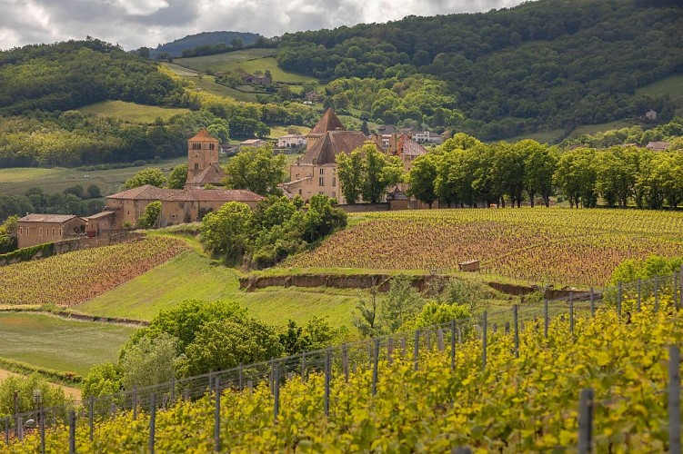 pierreclos-chateau-etienne-ramousse-verts-vallons-sud-borugogne-062