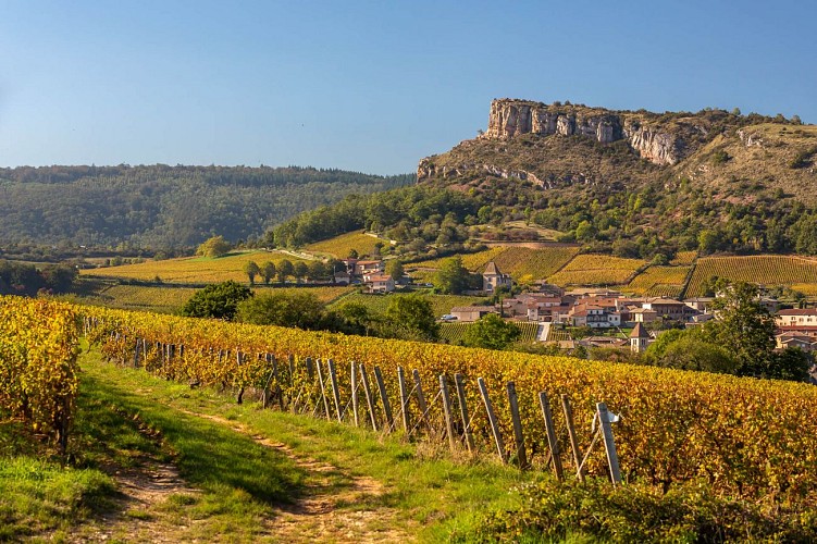 solutre-pouilly-roche-solutre-vignoble-paysage-automne-etienne-ramousse-macon-sud-bourgogne-95