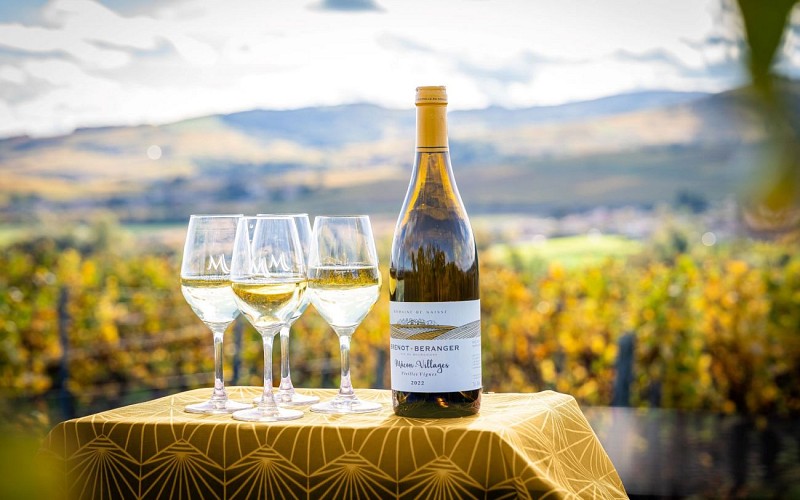 macon-degustation-vignoble-automne-al-drone-macon-sud-bourgogne-16