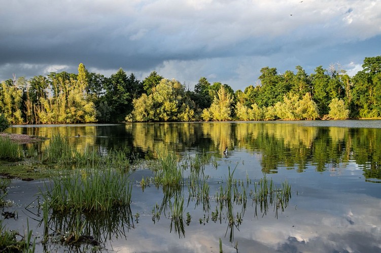 Lac de Torcy (22) @Lesley Williamson-HD