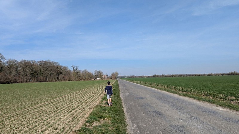 Forêt de Lavergny VII